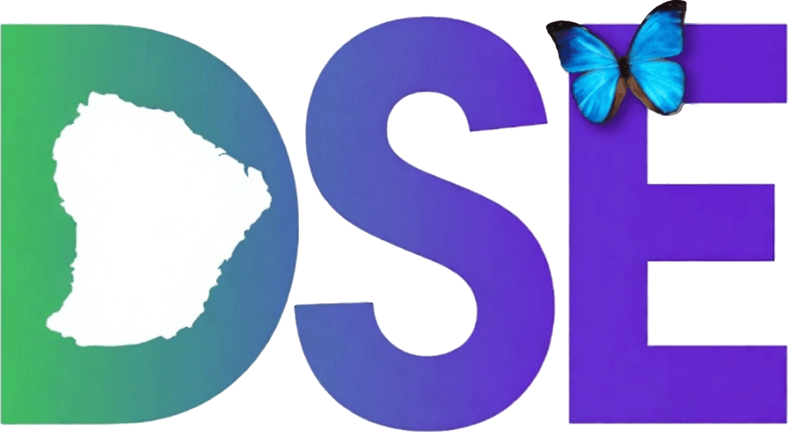 DSE — Dessin & Suivi Économique